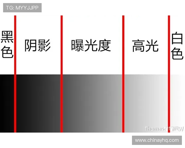 全面解析牛牛牌面规则让你轻松理解游戏中的牌型与胜负判断